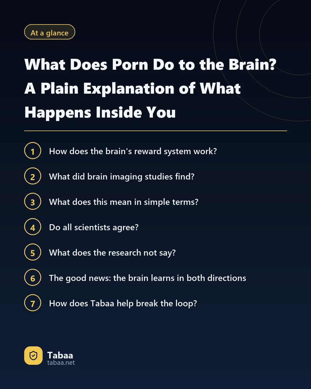 The article at a glance: What Does Porn Do to the Brain? A Plain Explanation of What Happens Inside You