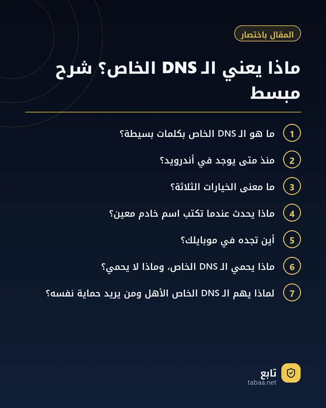 المقال باختصار: ماذا يعني الـ DNS الخاص؟ شرح مبسط
